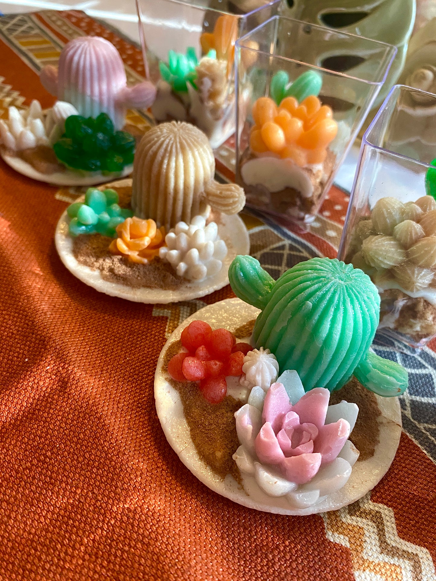 Here Comes The Sun Cactus Dessert Candy Collection