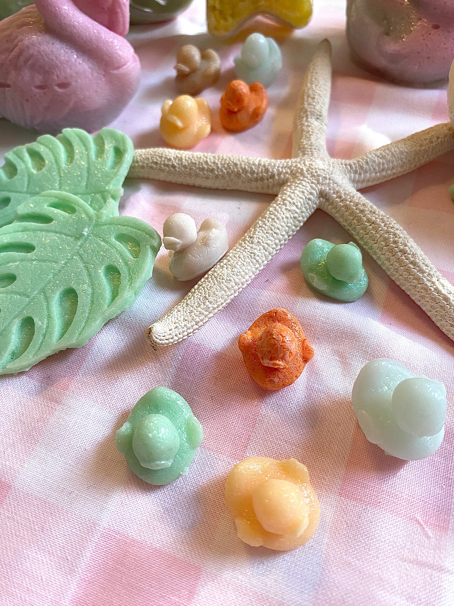 Floridian Ducky Derby Candy Collection