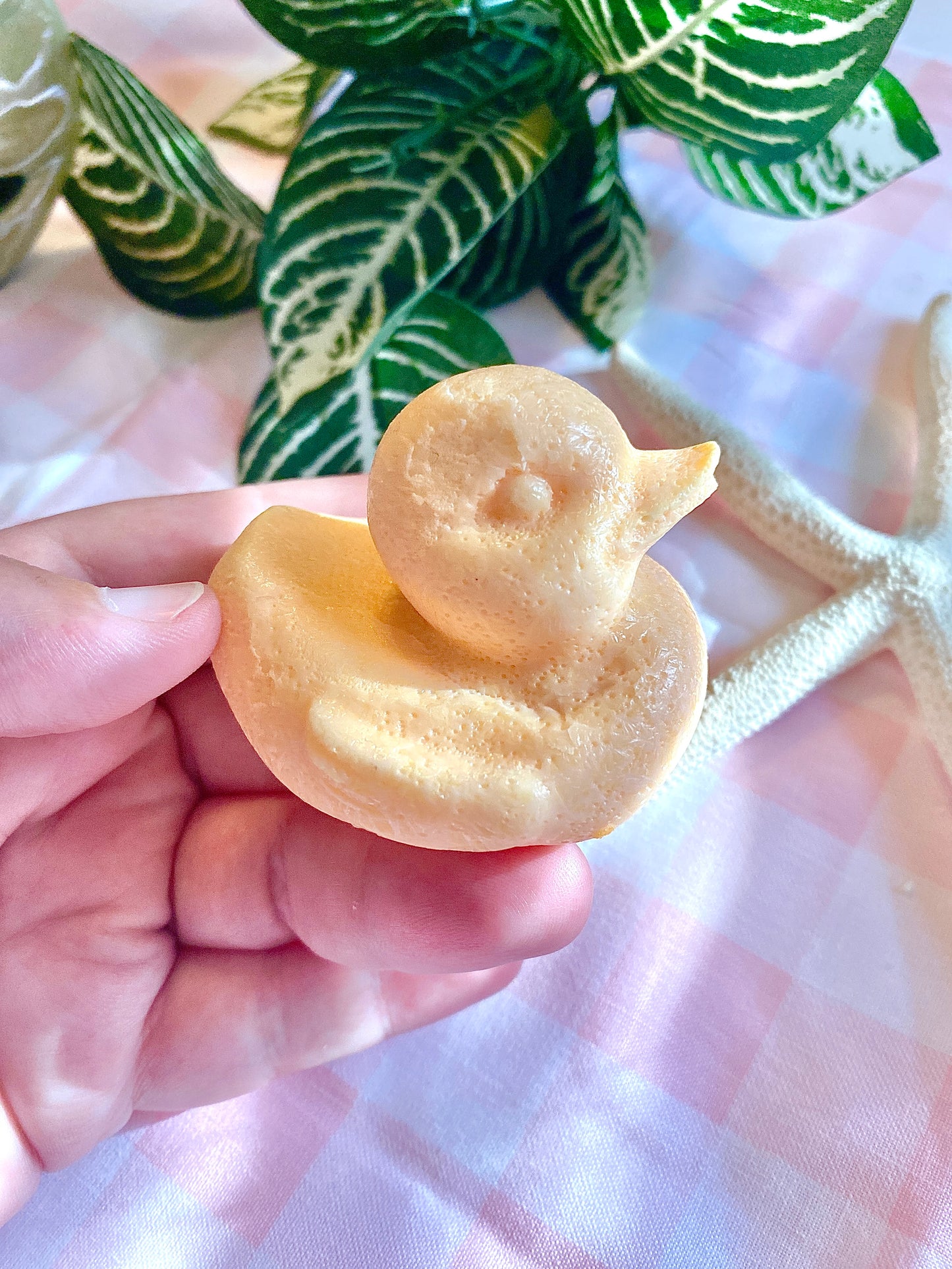 Floridian Ducky Derby Candy Collection