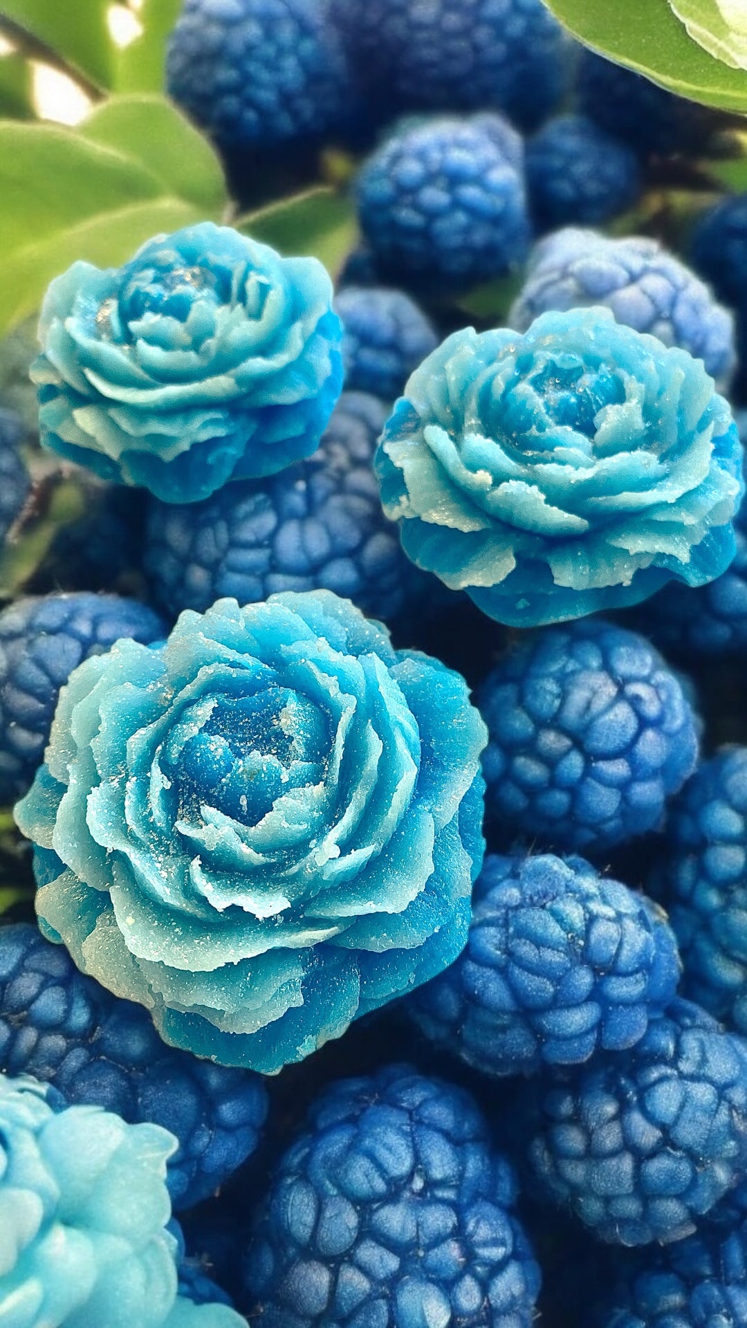 Gorgeous kohakutou Candy Peony Flowers in lots of different flavors!