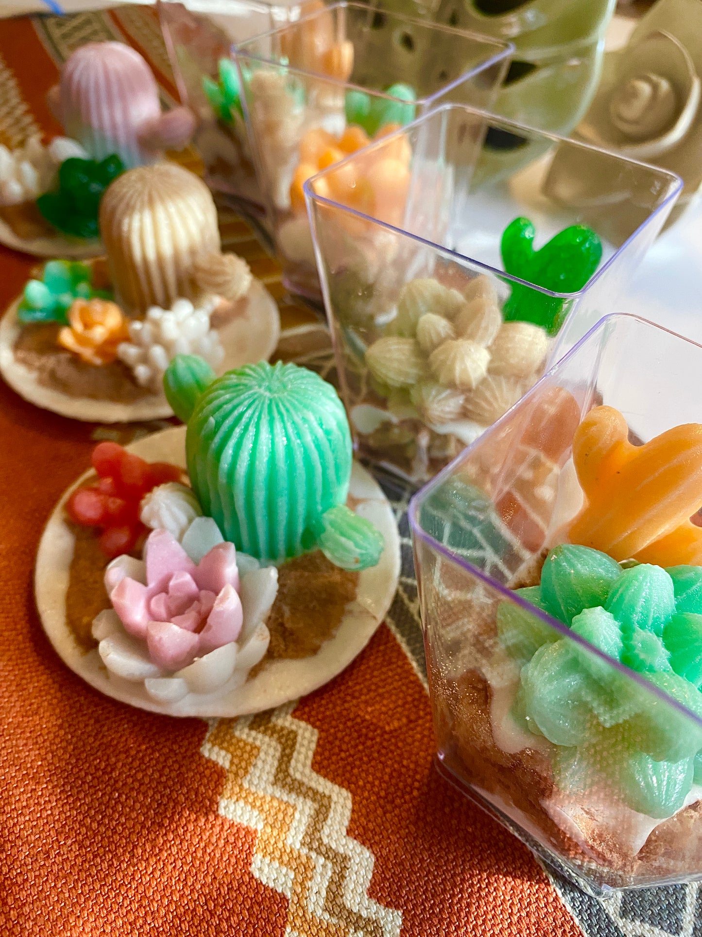 Here Comes The Sun Cactus Dessert Candy Collection