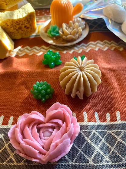 Here Comes The Sun Cactus Dessert Candy Collection