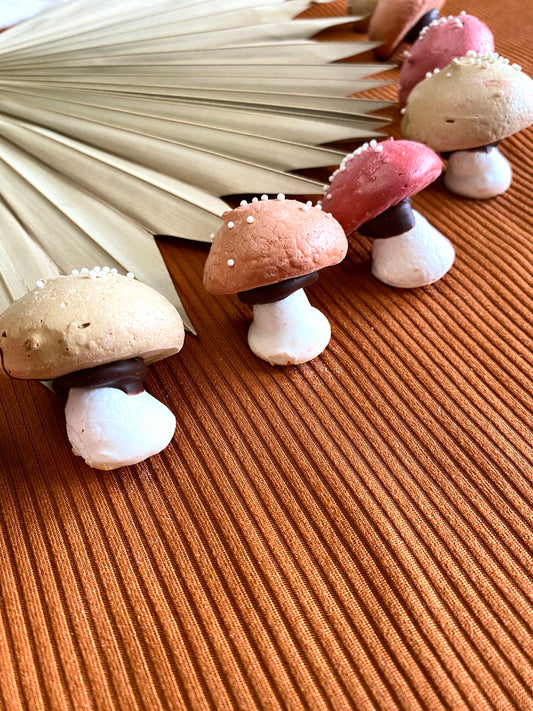 Reserved listing for Keri for Christmas time- 10 mixed color Meringue Mushrooms