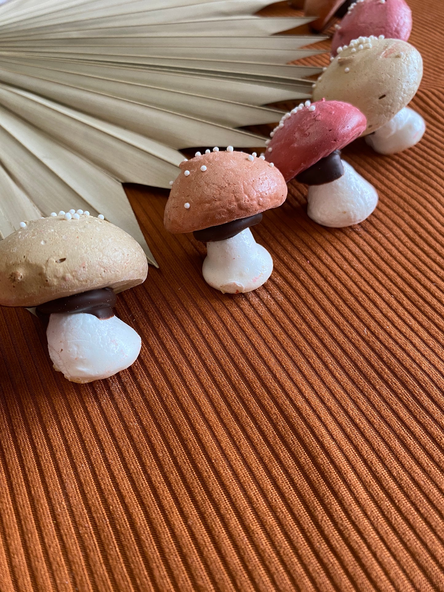 Reserved listing for Keri for Christmas time- 10 mixed color Meringue Mushrooms