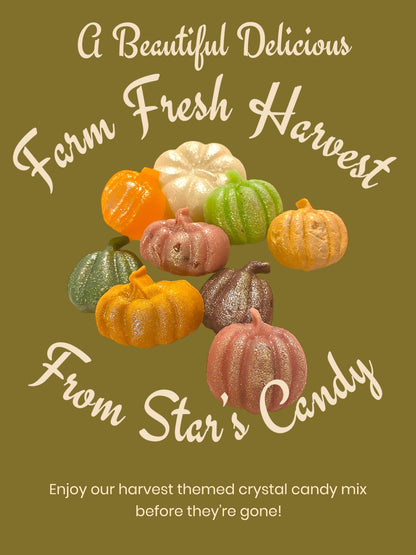 Fall Pumpkin Harvest Kohakutou Crystal Candies TikTok popular food Crystals ASMR food gift for him food gift for her Autumn colors & flavors