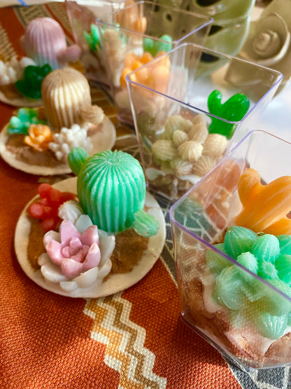 Here Comes The Sun Cactus Dessert Candy Collection