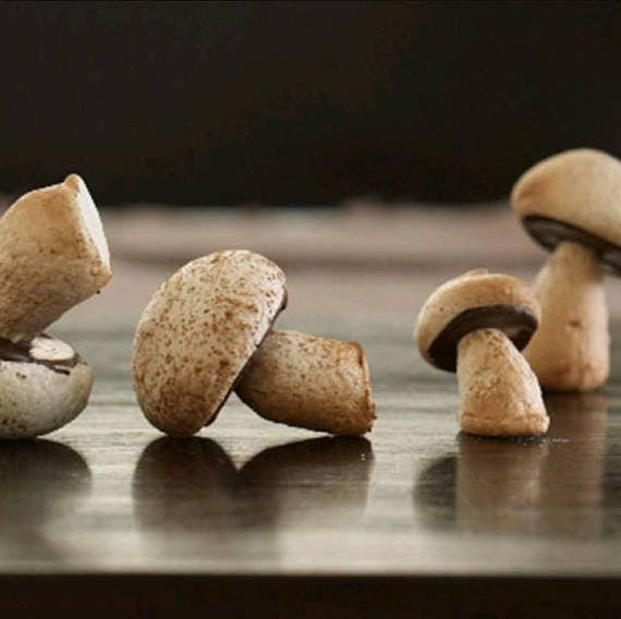 Meringue Mushrooms