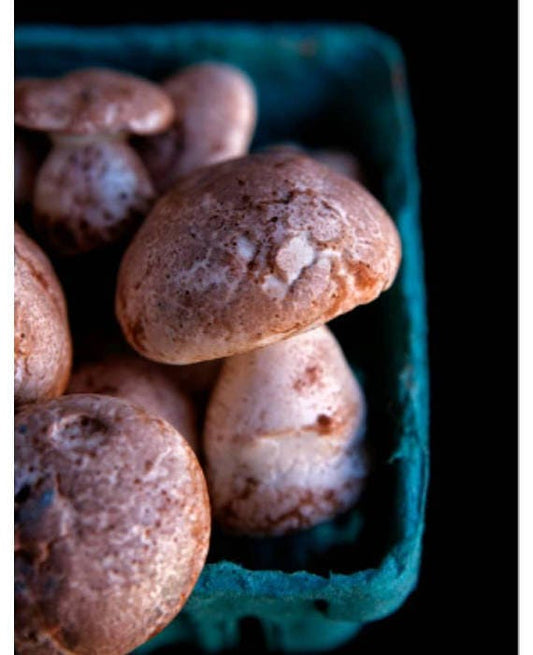 Meringue Mushrooms