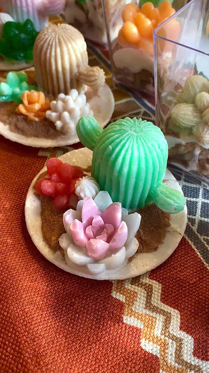 Here Comes The Sun Cactus Dessert Candy Collection